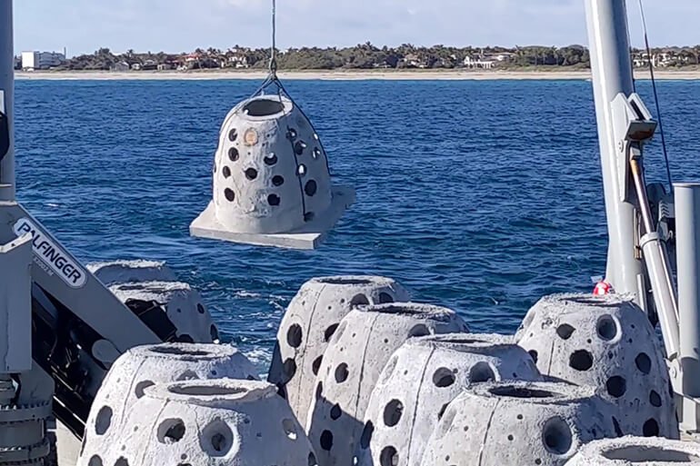 Artificial Reefs: How They Support Marine Life